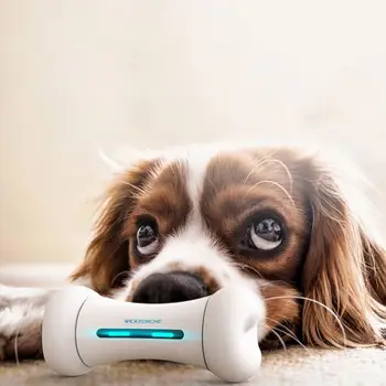 HTPP электрическая забавная умная игрушка для собак, развивающие игрушки